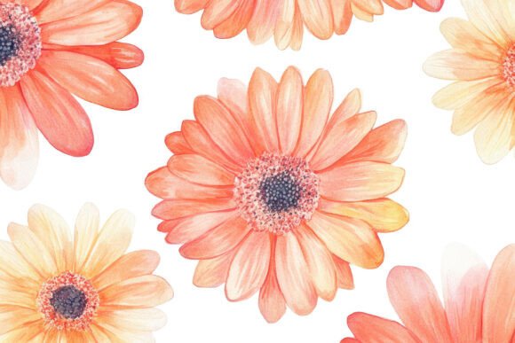 Gerbera Flower Background: Vibrant Design Asset