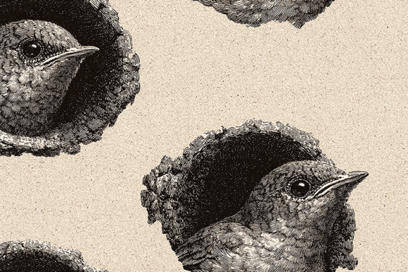 Vintage Engraved Bird Illustration Background: A Designer's Guide